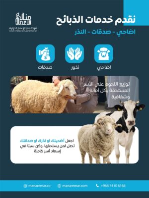 الغنم (اللحوم - الاضاحي - النذور - العقيقة )
